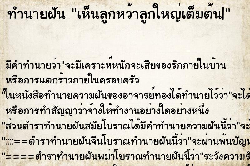 ทำนายฝัน เห็นลูกหว้าลูกใหญ่เต็มต้น| ทำนายฝัน เห็นลูกหว้าลูกใหญ่เต็มต้น|